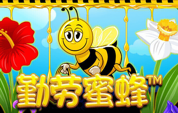 ng体育电子游戏